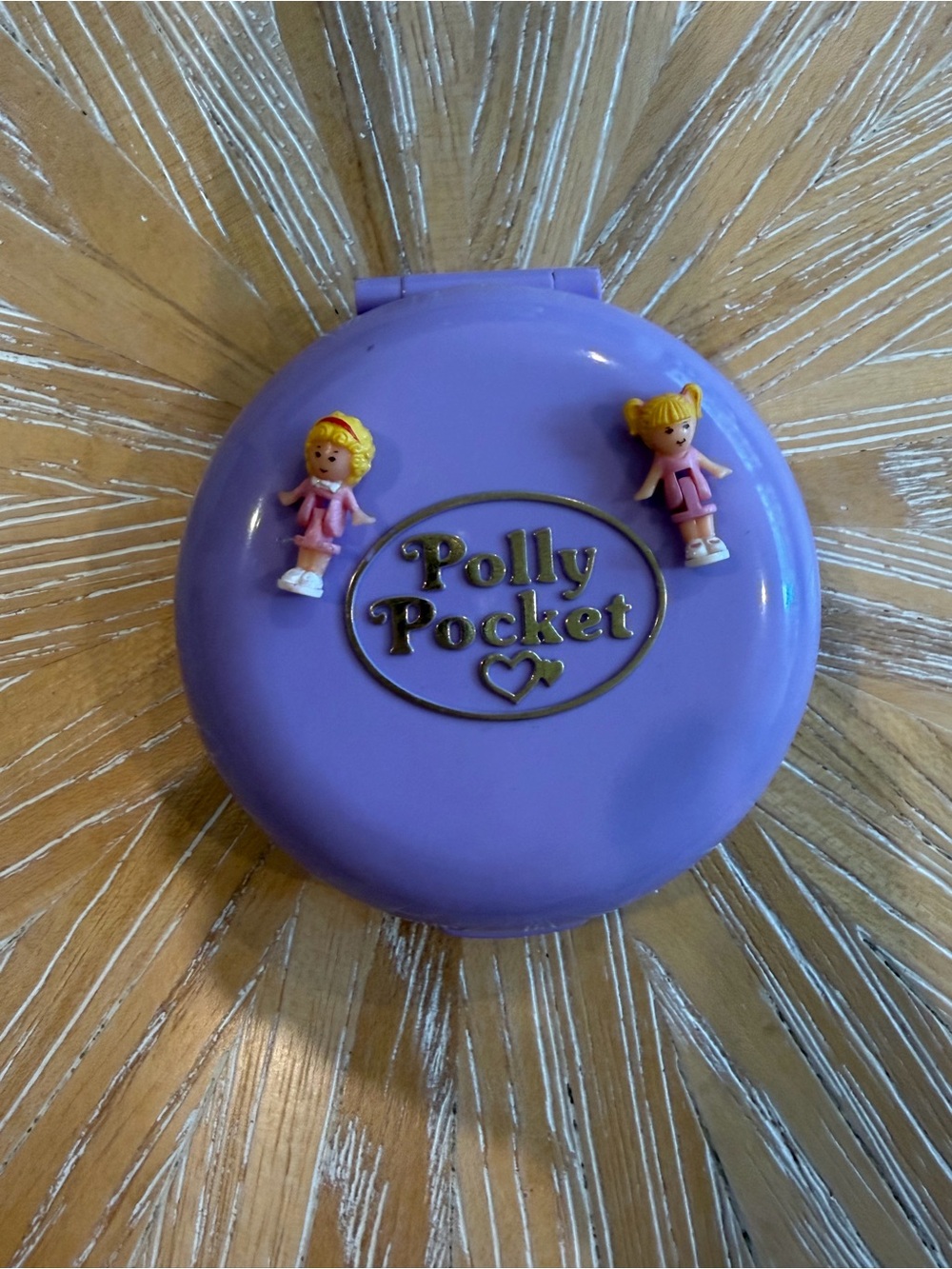 1989 COMPLETE Polly’s Flat Bluebird Polly Pocket